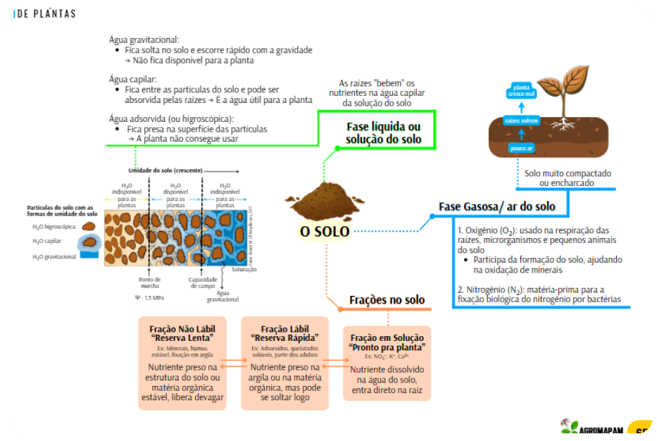 Material Agro Mapas Mentais 2