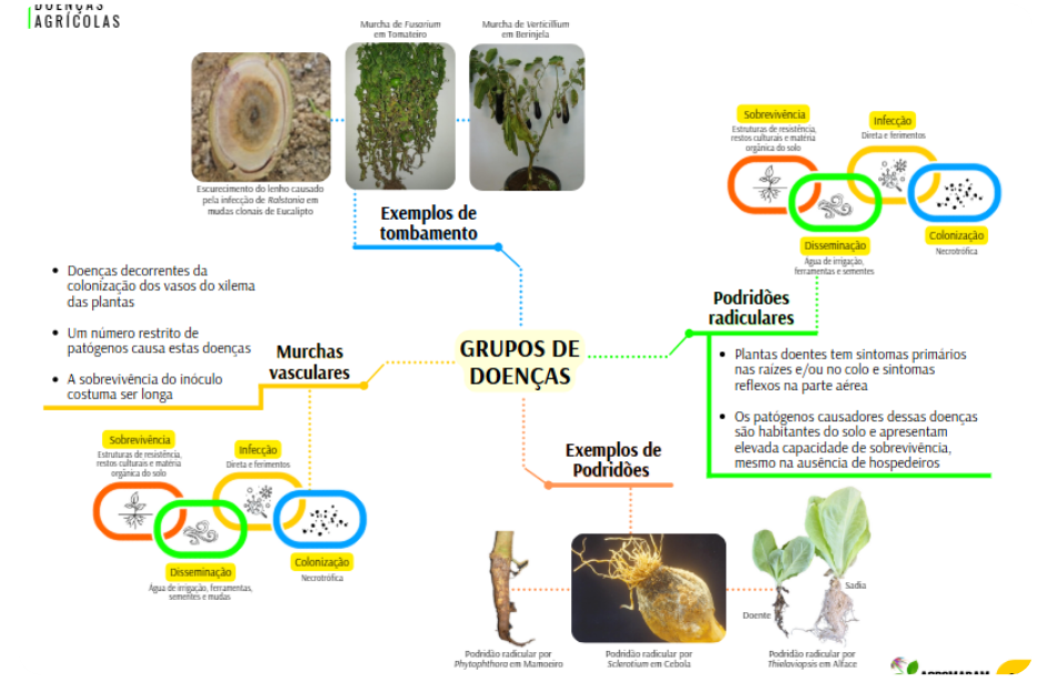 Material Agro Mapas Mentais 3